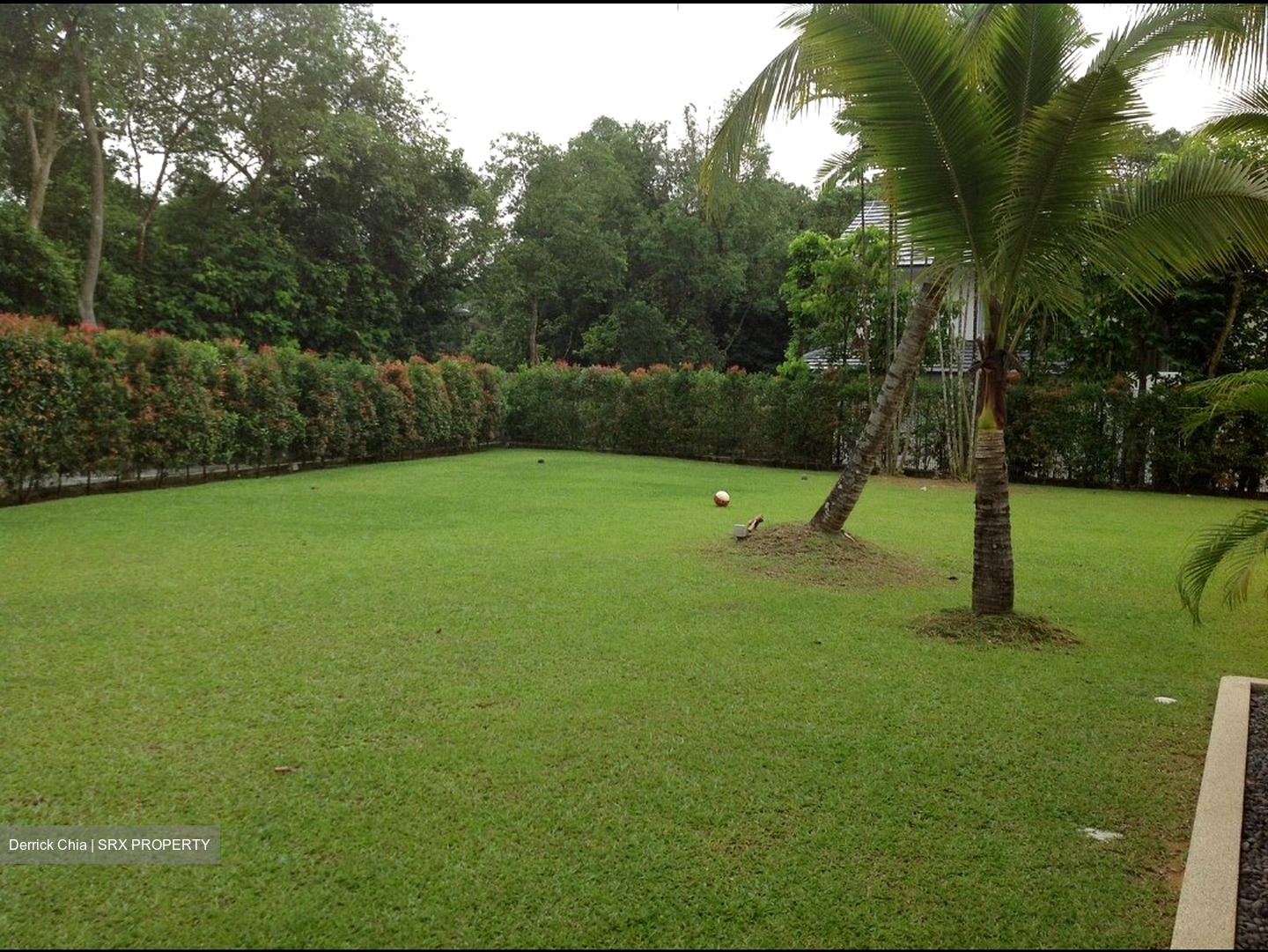 Eng Neo Avenue (D11), Detached #448239891